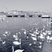 Zurich