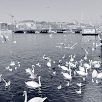 Zurich